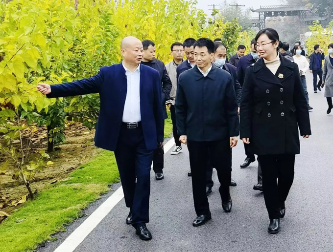 黄石港区政府门户